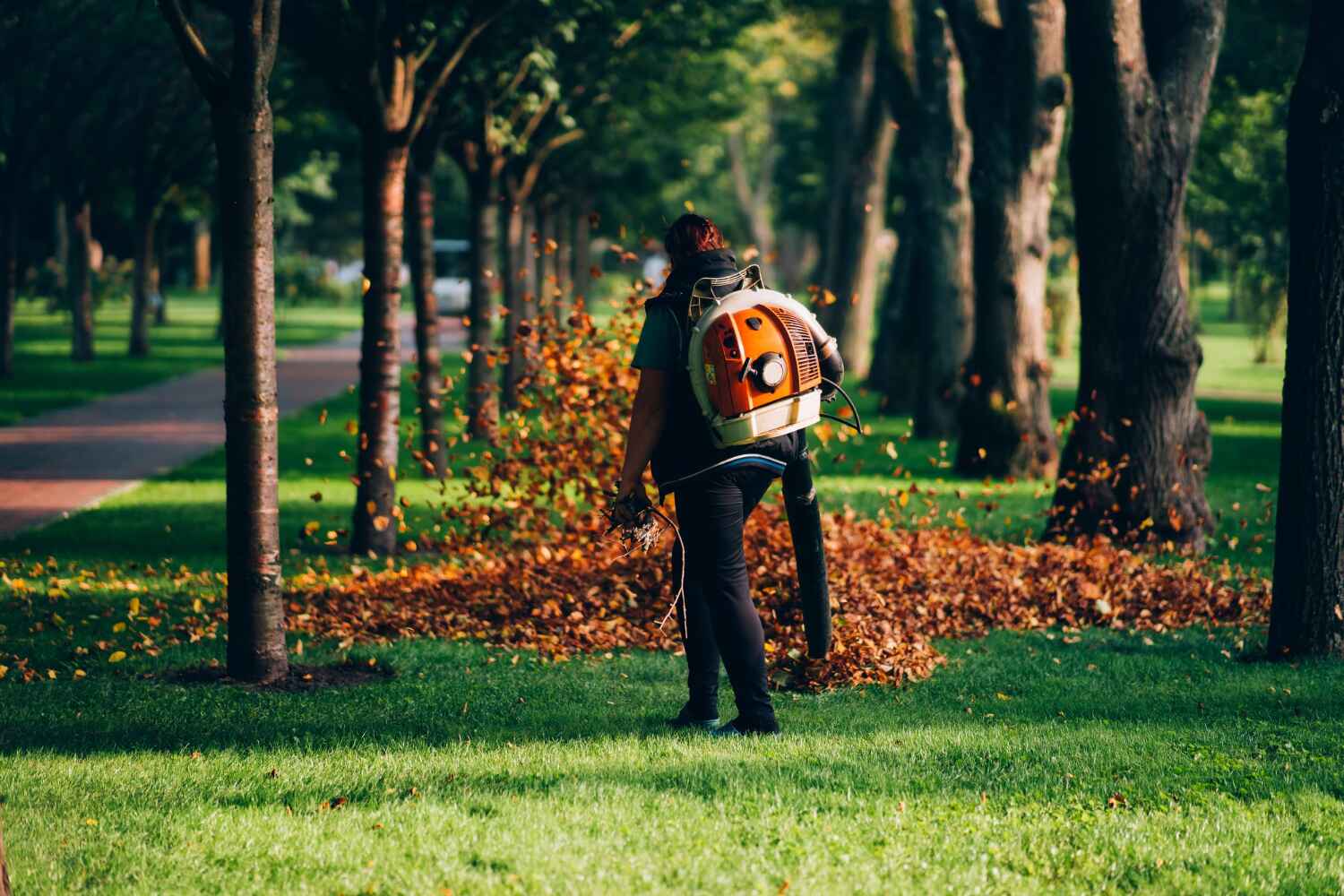 Best Tree Clearing Services  in Locust Fork, AL